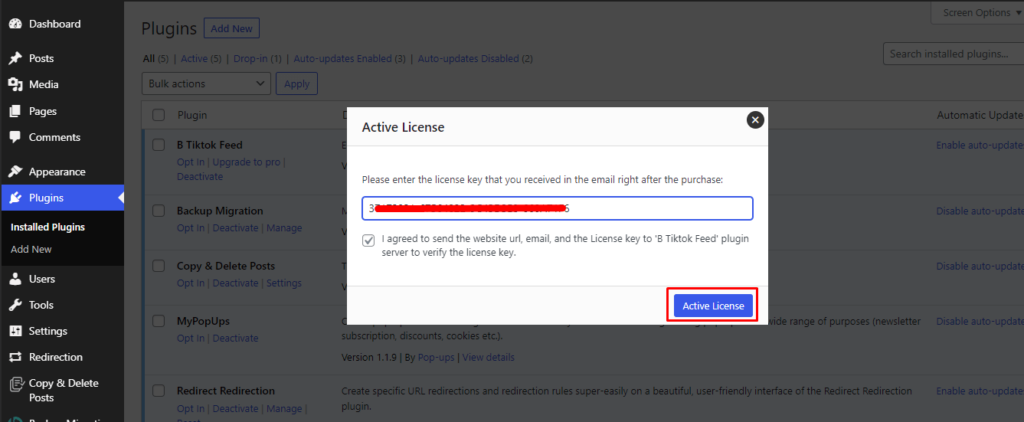 Tiktok-Feed- Active License
