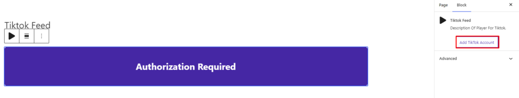 Tiktok Feed- Authorized Button