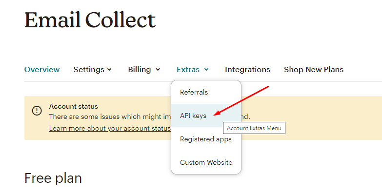Mailchimp Block- Click API Key