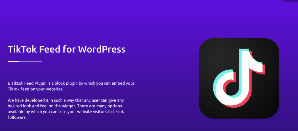 How to Embed TikTok Video/Feed into WordPress- A Guide for Beginners