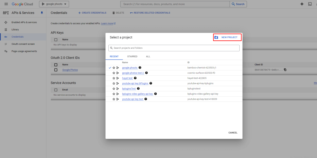 Embed Google Photos- New Project