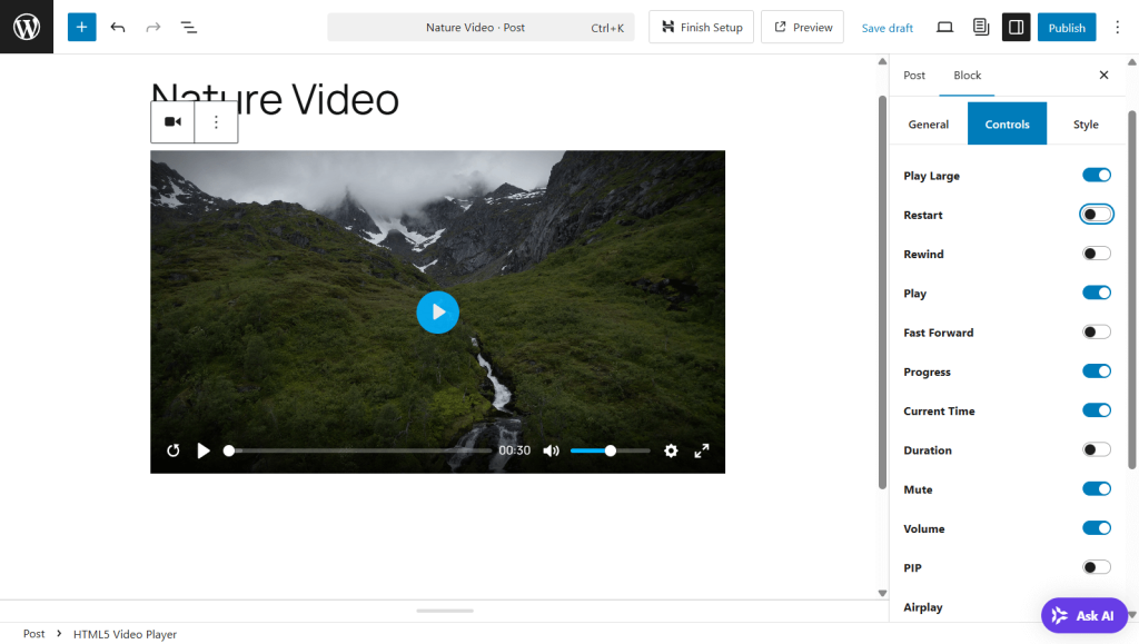 HTML5 Video Player control panel