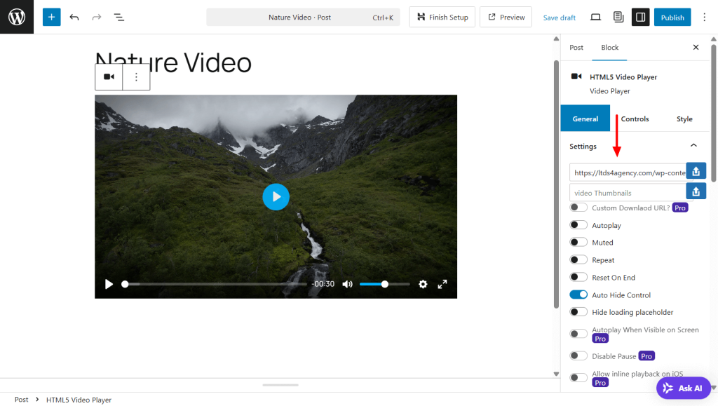 Settings of HTML5 Video Player