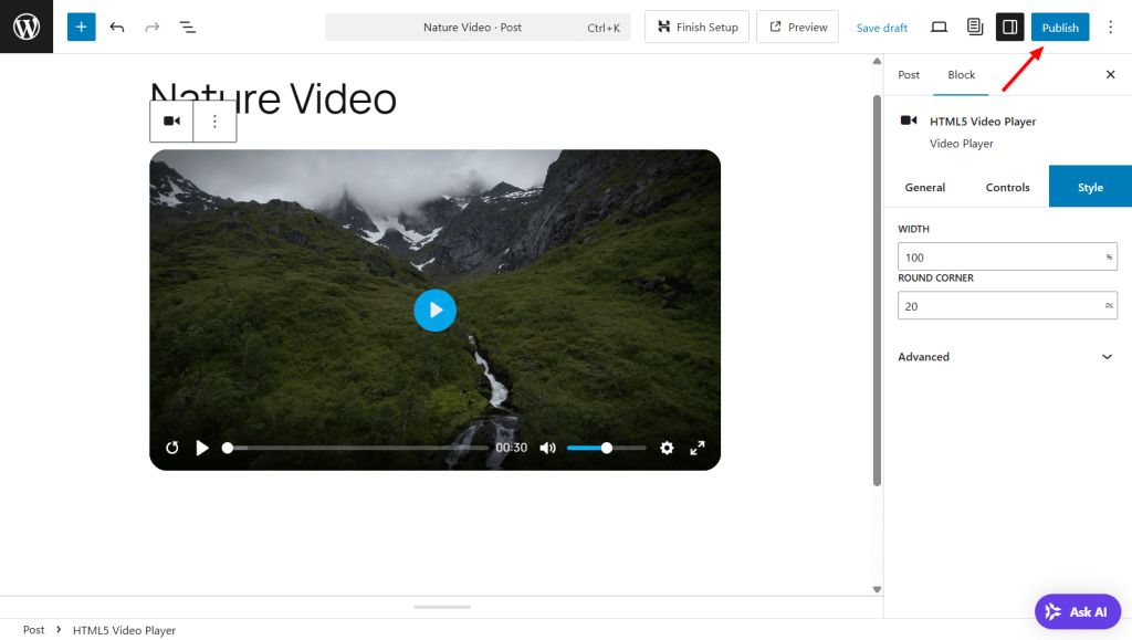 Style options of the player