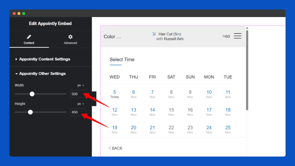All Embed Addons for Elementor- Appointly Change Width and Height