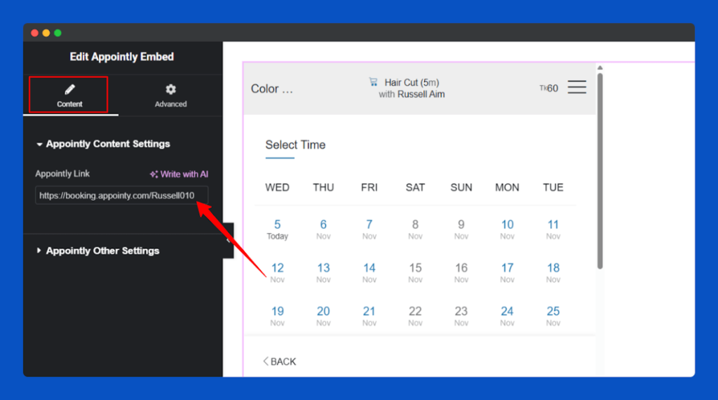 All Embed Addons for Elementor- Appointly Insert URL