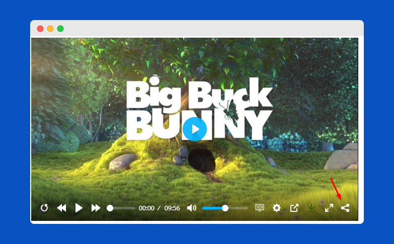 Social Share Options