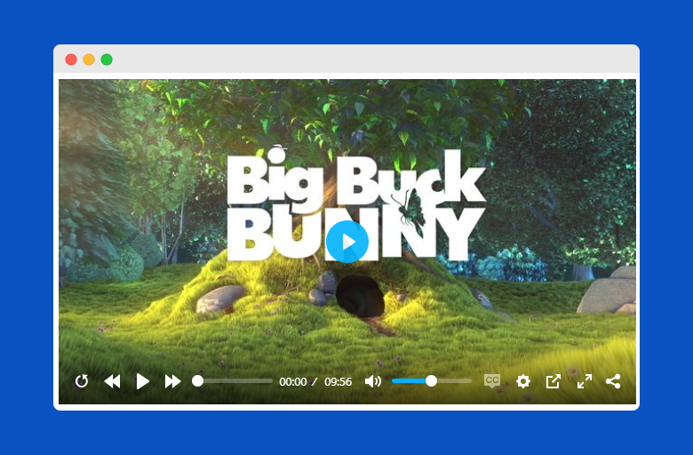 Single Video Player Display